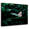 Canvas Print Nature Butterfly 40x30 cm