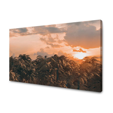 Canvas Print Trees Sunset Clouds Sky 120x80 cm