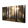 Canvas Print Sun in the Forest Cold Colors Grass 120x80 cm
