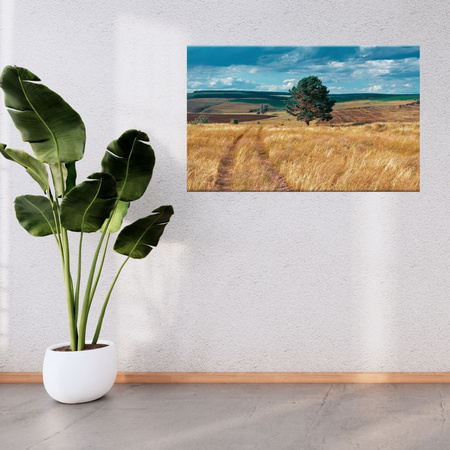 Canvas Print Grain Field Nature Clouds Landscape 100x80 cm