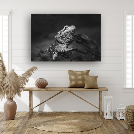 Canvas Print Lizard Reptile Black and White Nature 90x60
