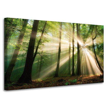 Canvas Print Sun in the Forest Trees Nature 100x60 cm