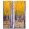 Canvas Print Birches in Autumn Yellow Leaves 80x100 cm