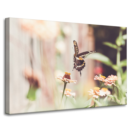 Canvas Print Nature Insect Butterfly Flowers Spring Summer 90x60