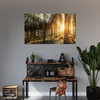 Canvas Print Birch Trees Sun Morning 100x80 cm