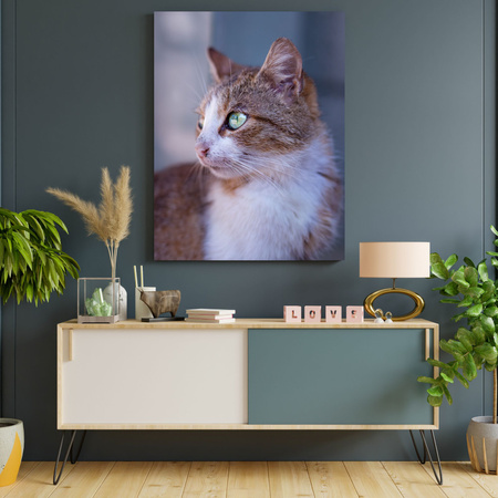 Canvas Print Animals Kitten 30x40 cm