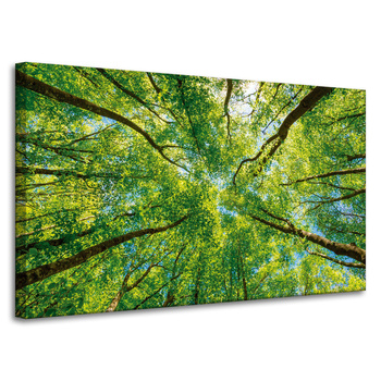 Canvas Print Trees Leaves Nature Forest Spring 100x60 cm