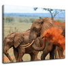 Canvas Print Elephant Pair Savannah Africa Nature 100x80 cm