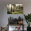 Canvas Print Forest Trees Sun Nature 120x80 cm