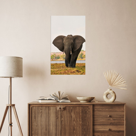 Canvas Print Large Gray Elephant on the Savannah 80x120 cm