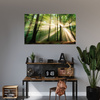 Canvas Print Sun in the Forest Trees Nature 40x30 cm