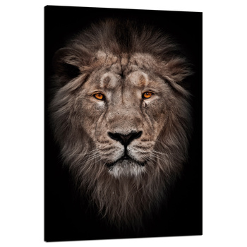 Canvas Print Lion Face Red Eyes Wild 80x120 cm