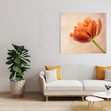 Canvas Print Botany Tulip 40x40 cm