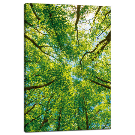 Canvas Print Trees Leaves Nature Forest Spring 40x60 cm