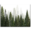 Canvas Print Rain Forest Nature Trees 40x30 cm