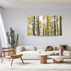 Canvas Print Birches Yellow Leaves Nature Spring 120x80 cm