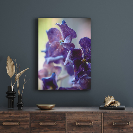 Canvas Print Botany Purple Hydrangea 30x40 cm