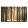 Canvas Print Trees Light Nature Forest 120x80 cm