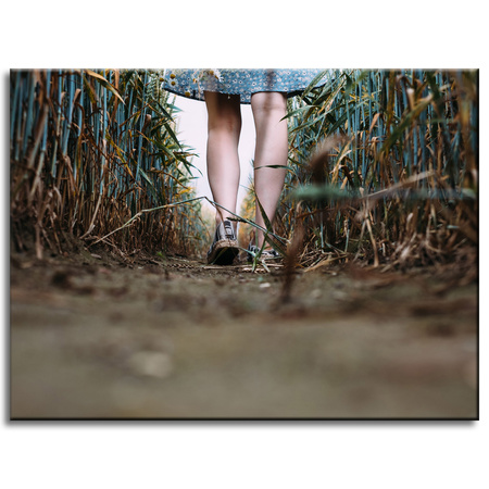 Canvas Print Nature A Walk in the Field 40x30 cm
