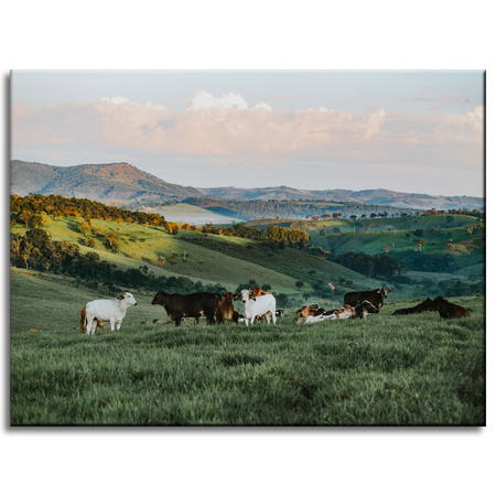 Canvas Print Nature Pasture_2 40x30 cm