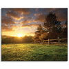 Canvas Print Sun Landscape Rural Trees Meadow 100x80 cm