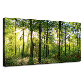 Canvas Print Sun Forest Trees Rays of Light 120x60 cm
