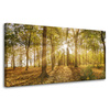 Canvas Print Sun Between Trees in the Forest 80x40 cm
