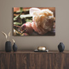 Canvas Print Botany Peony 40x30 cm