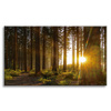 Canvas Print Sunset Forest Trees Nature 120x80 cm