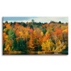Canvas Print Colorful Leaves Trees Autumn Nature 120x80 cm