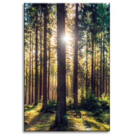 Canvas Print Forest Sun Trees Spring Morning 40x60 cm