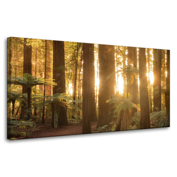 Canvas Print Sun Rays Forest Trees 80x40 cm