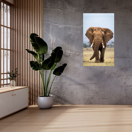 Canvas Print Elephant Africa Art Nature 80x120 cm