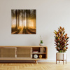 Canvas Print Sun in the Forest Light Tree 80X80 cm