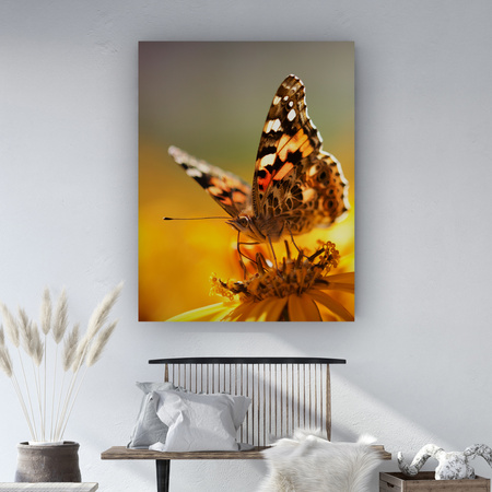 Canvas Print Animals Butterfly on Flower 80x120