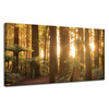 Canvas Print Sun Rays Forest Trees 120x60 cm