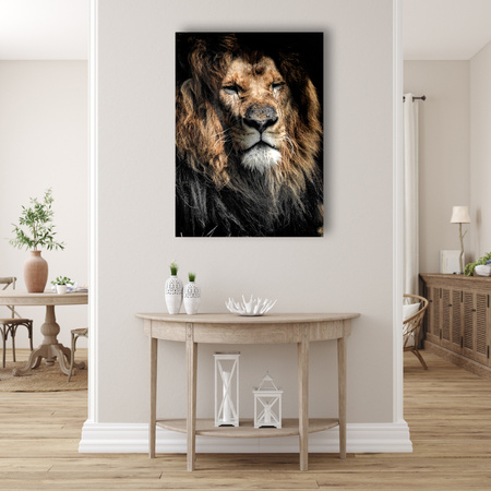 Canvas Print Adult Lion Animal 80x120