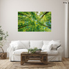Canvas Print Trees Leaves Nature Forest Spring 100x80 cm