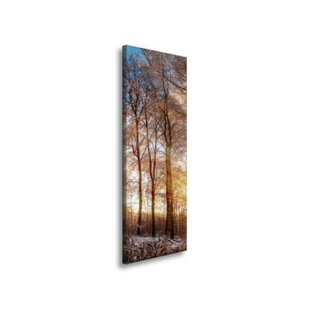 Canvas Print Trees Winter Rising Sun 40x120 cm