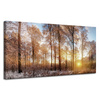 Canvas Print Trees Winter Rising Sun 120x60 cm