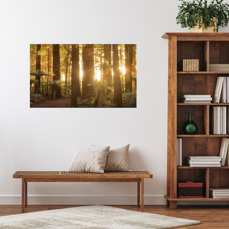 Canvas Print Sun Rays Forest Trees 120x60 cm