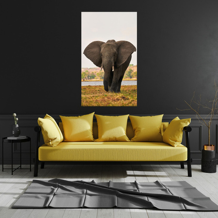 Canvas Print Large Gray Elephant on the Savannah 80x120 cm