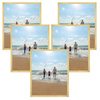 5x Frame Gold 40x50, I L13,15,045, Plexiglass