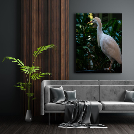 Canvas Print Animals Bird 30x40 cm