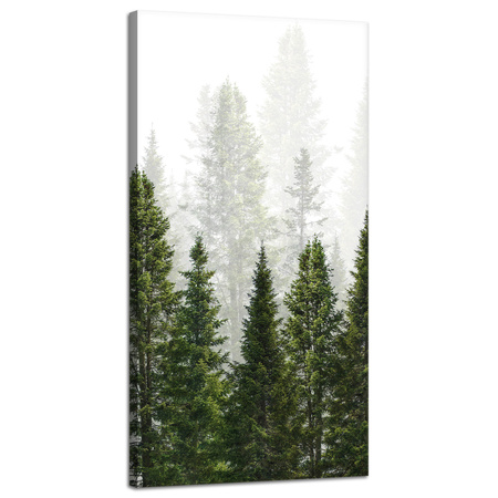 Canvas Print Rain Forest Nature Trees 40x80 cm
