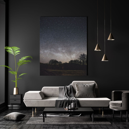 Canvas Print Space Starry Sky 30x40 cm
