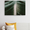 Canvas Print Nature Palm Leaf 90x60