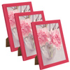 3x Amaranth Photo Frame 18x24, I L13,15,056, amaranth plexiglass