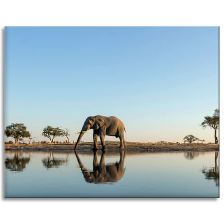 Canvas Print Elephant Drinking Water in Natural Habitat 100x80 cm