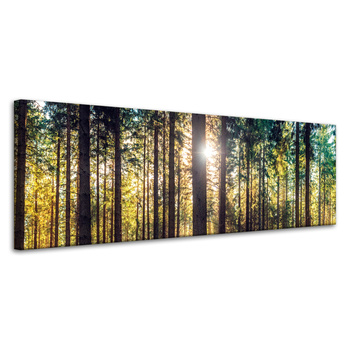 Canvas Print Forest Sun Trees Spring Morning 120x40 cm